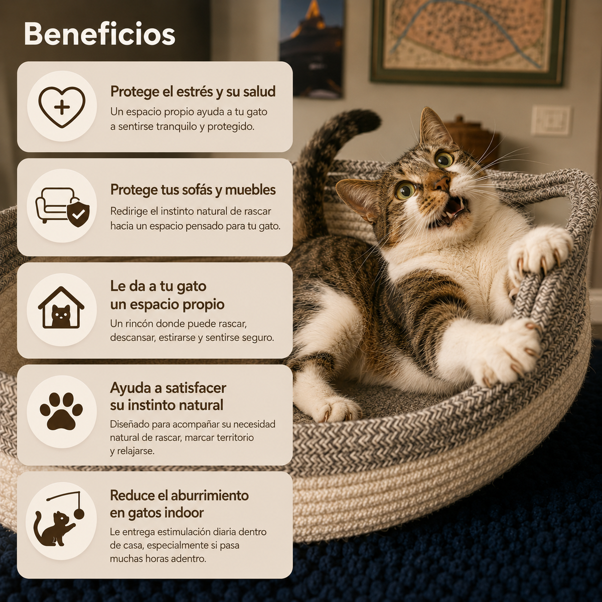 Cat nest | Su rincón para rascar, descansar y sentirse seguro