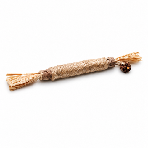 EcoPlay Stick